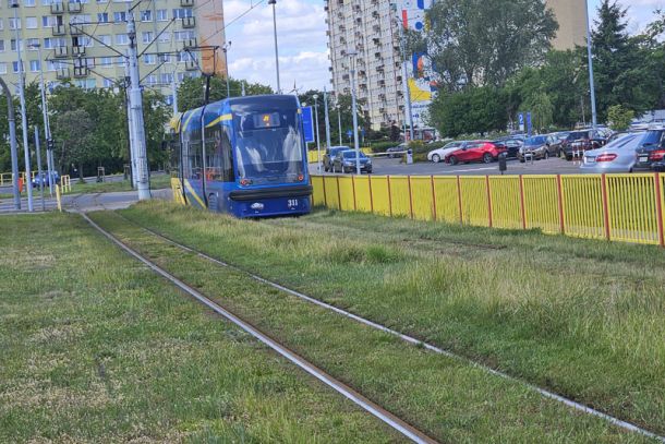 Tramwaj na zielonym torowisku